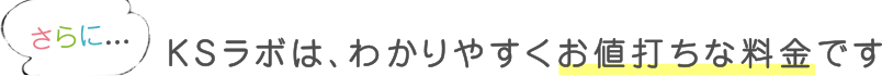 KSラボは、わかりやすくお値打ちな料金です