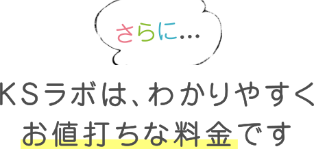 KSラボは、わかりやすくお値打ちな料金です